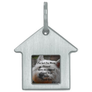 Médaillons Pour Animaux Domestiques Chien Westie.
