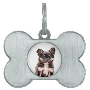 Médaillons Pour Animaux Domestiques Chihuahua Chien chiot