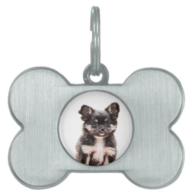 Médaillons Pour Animaux Domestiques Chihuahua Chien chiot (Devant)
