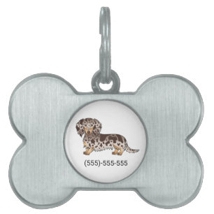 Médaillons Pour Animaux Domestiques Chocolat Et Tan Dapper Longs Cheveux Dachshund Chi
