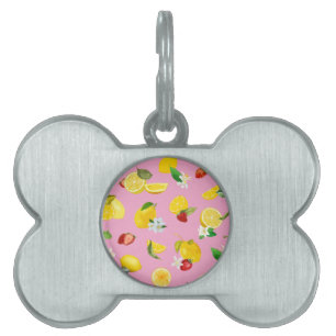 Médaillons Pour Animaux Domestiques Citron et fraise 1