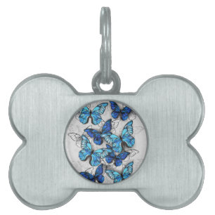 Médaillons Pour Animaux Domestiques Composition des White and Blue Butterflies