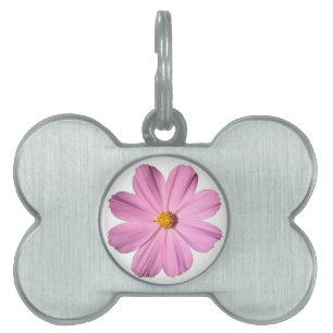 Médaillons Pour Animaux Domestiques Cosmos roses