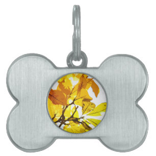 Médaillons Pour Animaux Domestiques Couleurs d'automne, feuille