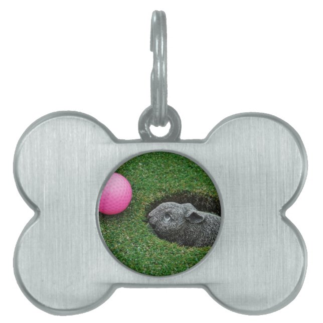 MÉDAILLONS POUR ANIMAUX DOMESTIQUES DSCF0652.JPG (Devant)