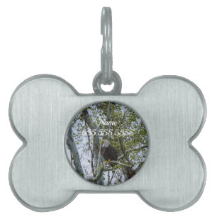 Médaillons Pour Animaux Domestiques Eagle Watch Out Pet ID balise