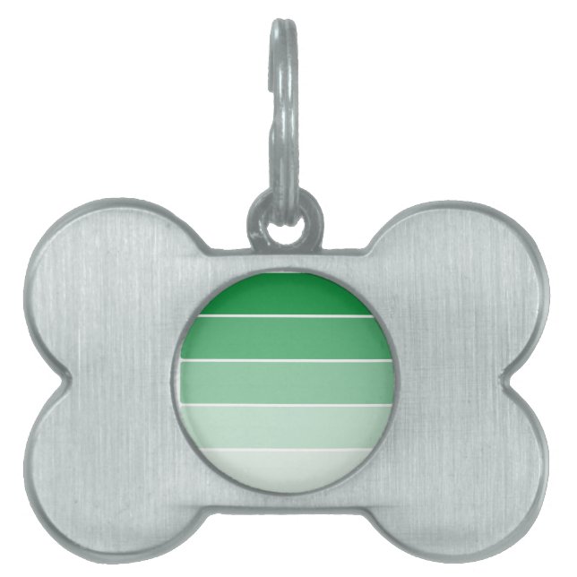 Médaillons Pour Animaux Domestiques Échantillons de peinture vert brillant (Devant)