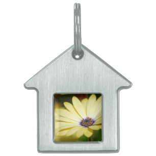 Médaillons Pour Animaux Domestiques Étiquette blanche pour animal de compagnie floral