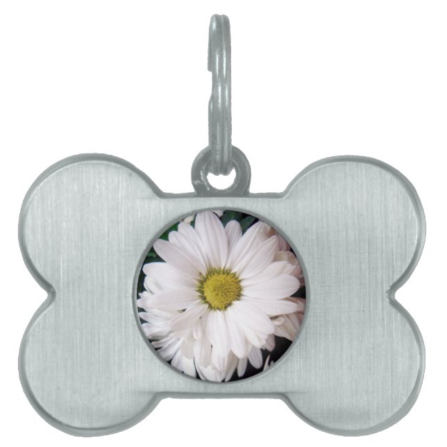 Médaillons Pour Animaux Domestiques Étiquette de collier de chien de *Daisy* (Devant)