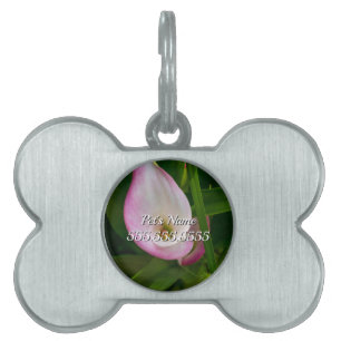 Médaillons Pour Animaux Domestiques Étiquette d'ID animal de compagnie Calla Roll