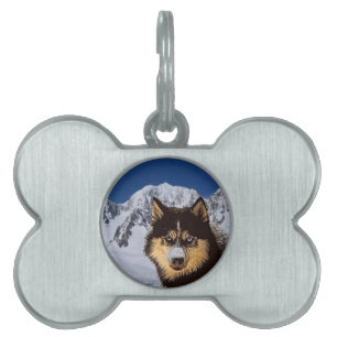Médaillons Pour Animaux Domestiques Étiquette d'identification pour chien Husky sibéri