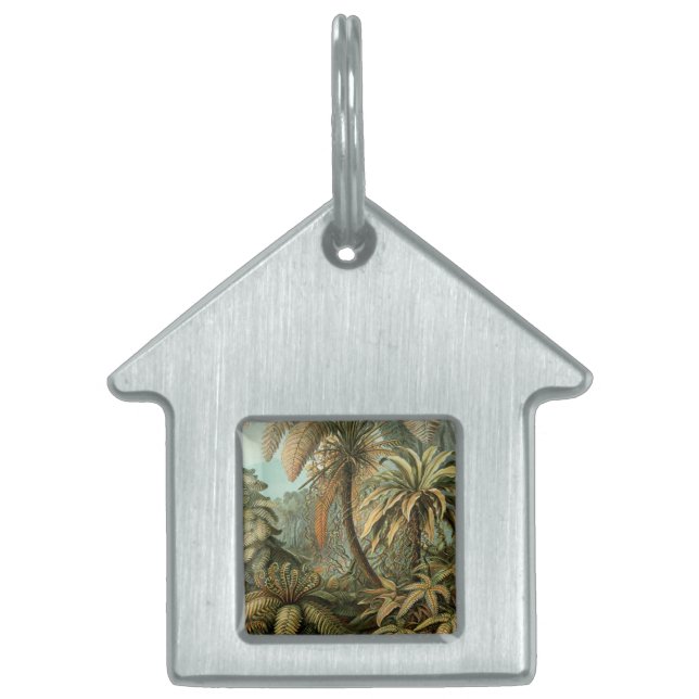 Médaillons Pour Animaux Domestiques Ferns Palm Tree Antiquité Botanique Ferns Art (Devant)