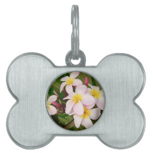 Médaillons Pour Animaux Domestiques Fête des mariées de fleurs d'Aloha Hawaii Frangipa