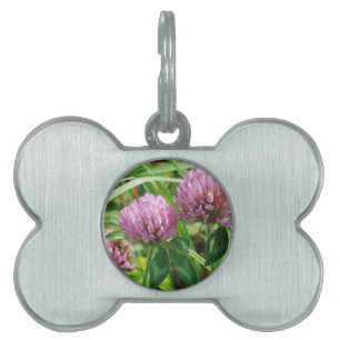 Médaillons Pour Animaux Domestiques Fleur sauvage de trèfle rose - Trifolium pratense