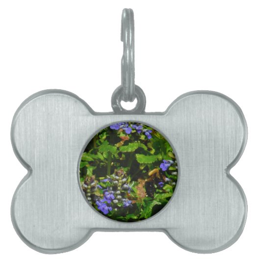 Médaillons Pour Animaux Domestiques Fleur violette et abeille boursouflante (Devant)