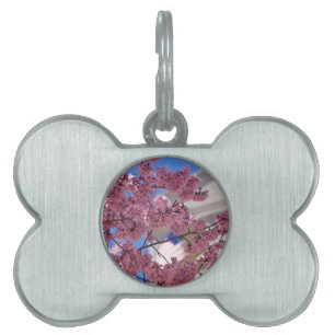 Médaillons Pour Animaux Domestiques Fleurs de cerisier Sakura Americana