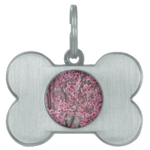 Médaillons Pour Animaux Domestiques Fleurs de cerisier Sakura rose flottant
