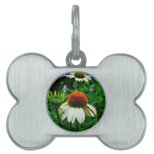 Médaillons Pour Animaux Domestiques Fleurs de cônes blanches et orange