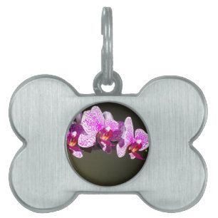 Médaillons Pour Animaux Domestiques Fleurs florales tropicales roses élégantes orchidé