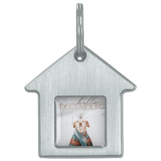 Médaillons Pour Animaux Domestiques Framed Pet Tag