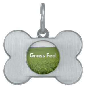 Médaillons Pour Animaux Domestiques Gris Fed