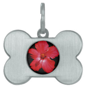 Médaillons Pour Animaux Domestiques Hibiscus rouge