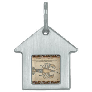 Médaillons Pour Animaux Domestiques Illustration de homard vintage : damas côtier