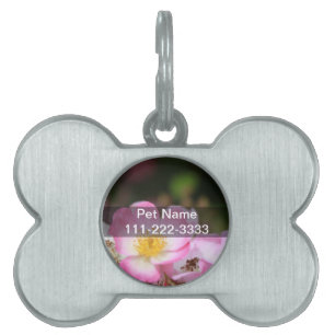 Médaillons Pour Animaux Domestiques joli rose fleur rose sauvage pour dames