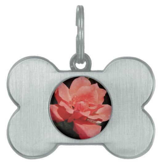 Médaillons Pour Animaux Domestiques Joli rose rose Peach floral (Devant)