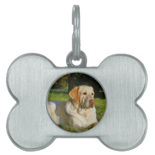 Médaillons Pour Animaux Domestiques Labrador retriever jaune