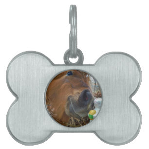 Médaillons Pour Animaux Domestiques Lapin de Pâques et cheval Brown