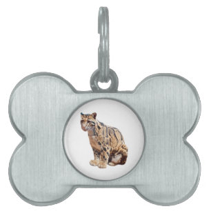 Médaillons Pour Animaux Domestiques léopard nébuleux photographie jungle grand félin a