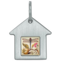 Libellule Botanique Nature Faune Hoefnagel Art
