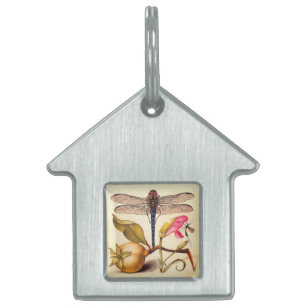 Médaillons Pour Animaux Domestiques Libellule Botanique Nature Faune Hoefnagel Art