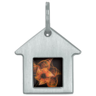 Médaillons Pour Animaux Domestiques Lightworks Maison d'Art Abstraite