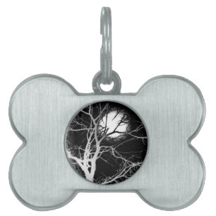 Médaillons Pour Animaux Domestiques Lune