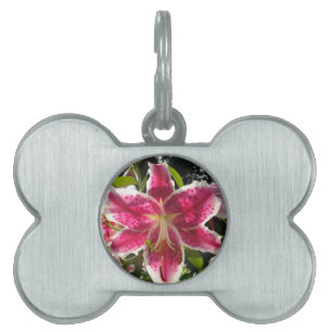 Médaillons Pour Animaux Domestiques Lys roses fleurs tropicales roses rose