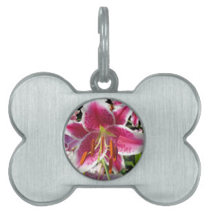 Médaillons Pour Animaux Domestiques Lys roses fleurs tropicales roses rose