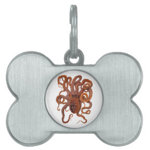 Médaillons Pour Animaux Domestiques Octopus Macropus Atlantique Blanc tacheté Octopus