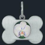 Médaillons Pour Animaux Domestiques Orchidée blanche<br><div class="desc">romantique peinture d'aquarelle blanche d'origine par H Cooper</div>