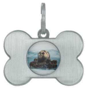 Médaillons Pour Animaux Domestiques Otter flottante