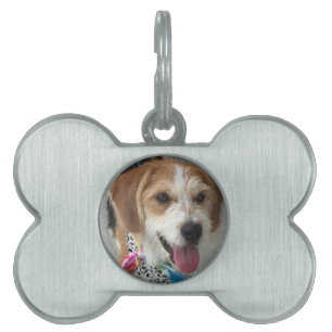 Médaillons Pour Animaux Domestiques Personnalisez avec la photo de votre chien