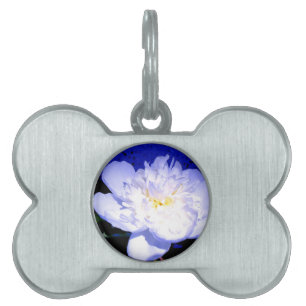 Médaillons Pour Animaux Domestiques Photo de pivoine blanche et violette