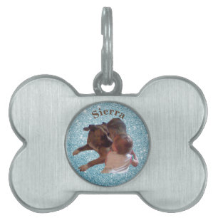 Médaillons Pour Animaux Domestiques Photo pour animaux customisés
