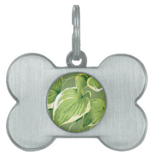 Médaillons Pour Animaux Domestiques Plante de ficus 5