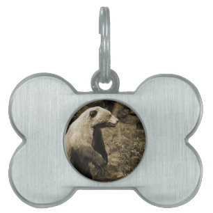 Médaillons Pour Animaux Domestiques Proud Bear