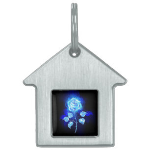 Médaillons Pour Animaux Domestiques Rose bleu brûlant
