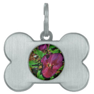Médaillons Pour Animaux Domestiques Rose de carême rose Bourgogne