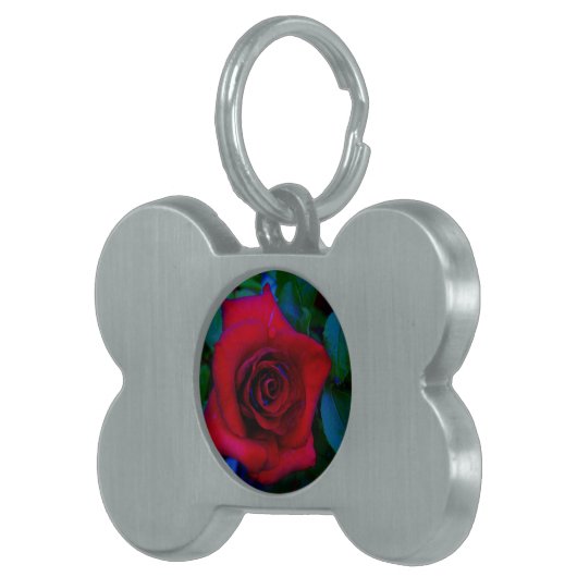 Médaillons Pour Animaux Domestiques Roses rouges aux tons bleus (Devant droit)