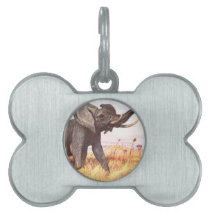 Médaillons Pour Animaux Domestiques Safari Africain Jungle Destinée Animaux Eléphants